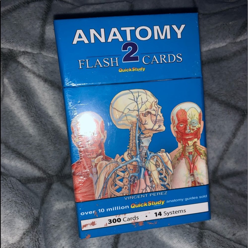 Anatomy 2 Quick Study Flashcards